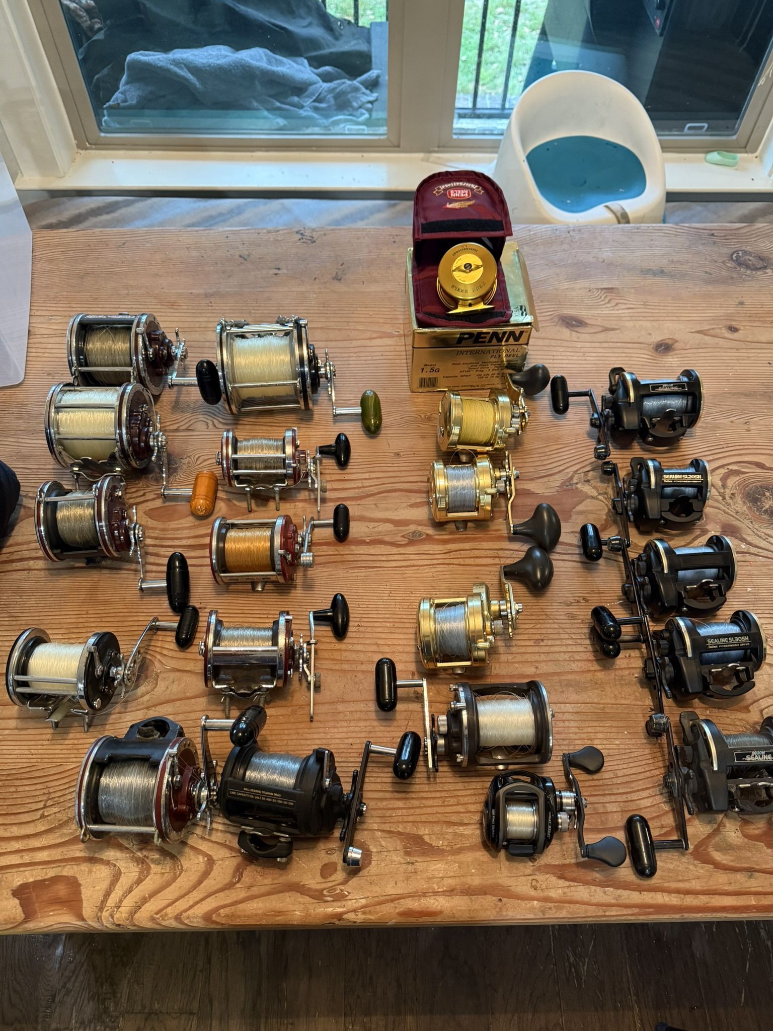 Fishing Reels
