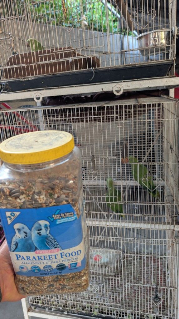 "Bird" Food