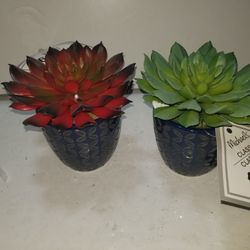 Decorative succulents plants. New. $20 value.. $10 each. 6 available ($50)