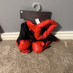 Dog Halloween costume 