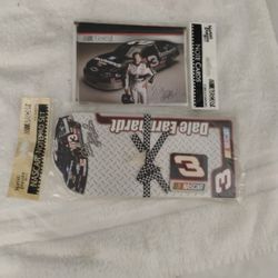 Dale Earnhardt Marabella 