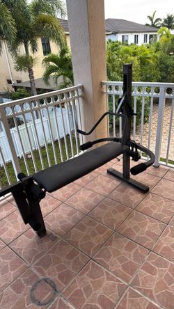 Exercise Bench And Dumb Bells