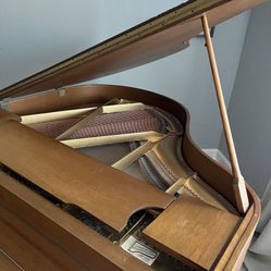 Xmass, Holiday And Classic Scroll Songs Included !! Beautiful Grand Baby piano , Manual And Auto Play !