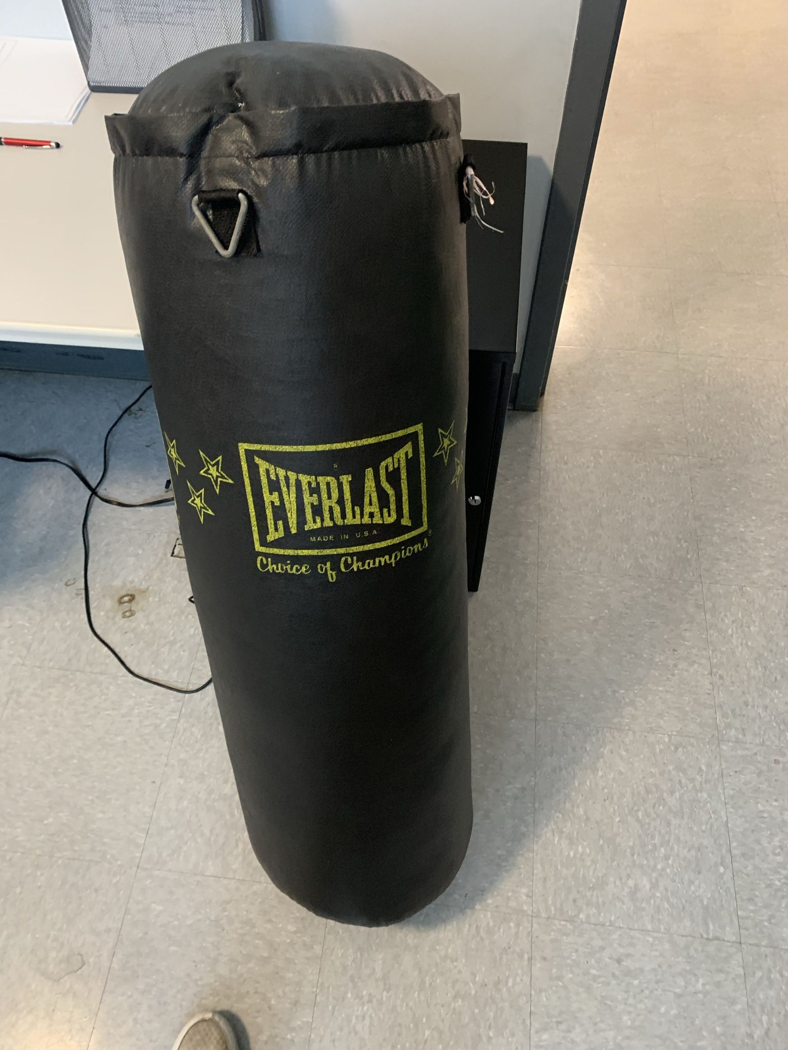 Everlast Punching Bag