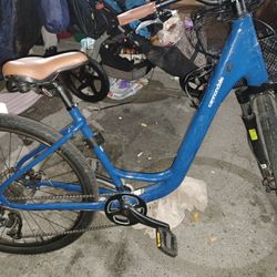 Cannondale Adventure