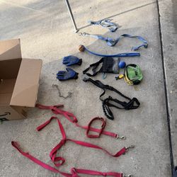Large dog accessories