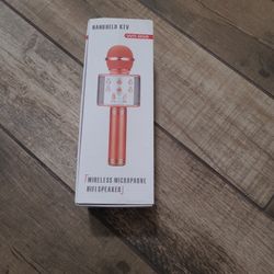 Handheld KTV Wireless Microphone Hi FI SPEAKER, Karaoke