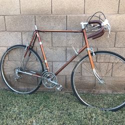 Vintage Raleigh Super Course Road Bike