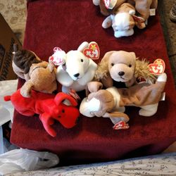 4 Ty Beanie Babies Dogs Spunky Tracker Butch Tuffy
