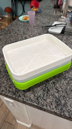 Seed Sprouting Tray Kit