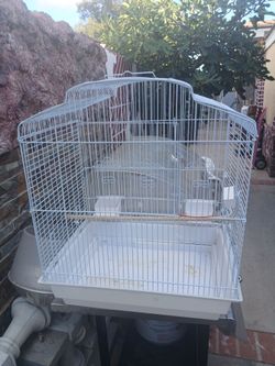 Bird cage