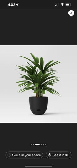 Self-Watering Plastic Indoor Outdoor Planter Pot Black 12"x12"