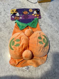 Disney Pet Costume 
