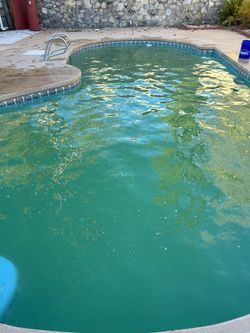 THE POOLMAN