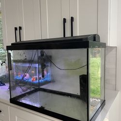 21 Gallon  Aquarium With Extras 