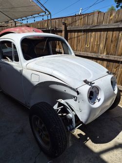 We beetle shell