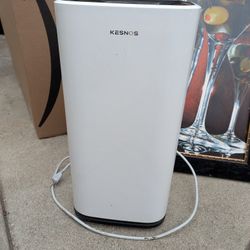 Kesnos Dehumidifier 