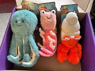 Margaritaville Coral Reefers Plush Dog Toy Box Originally $25