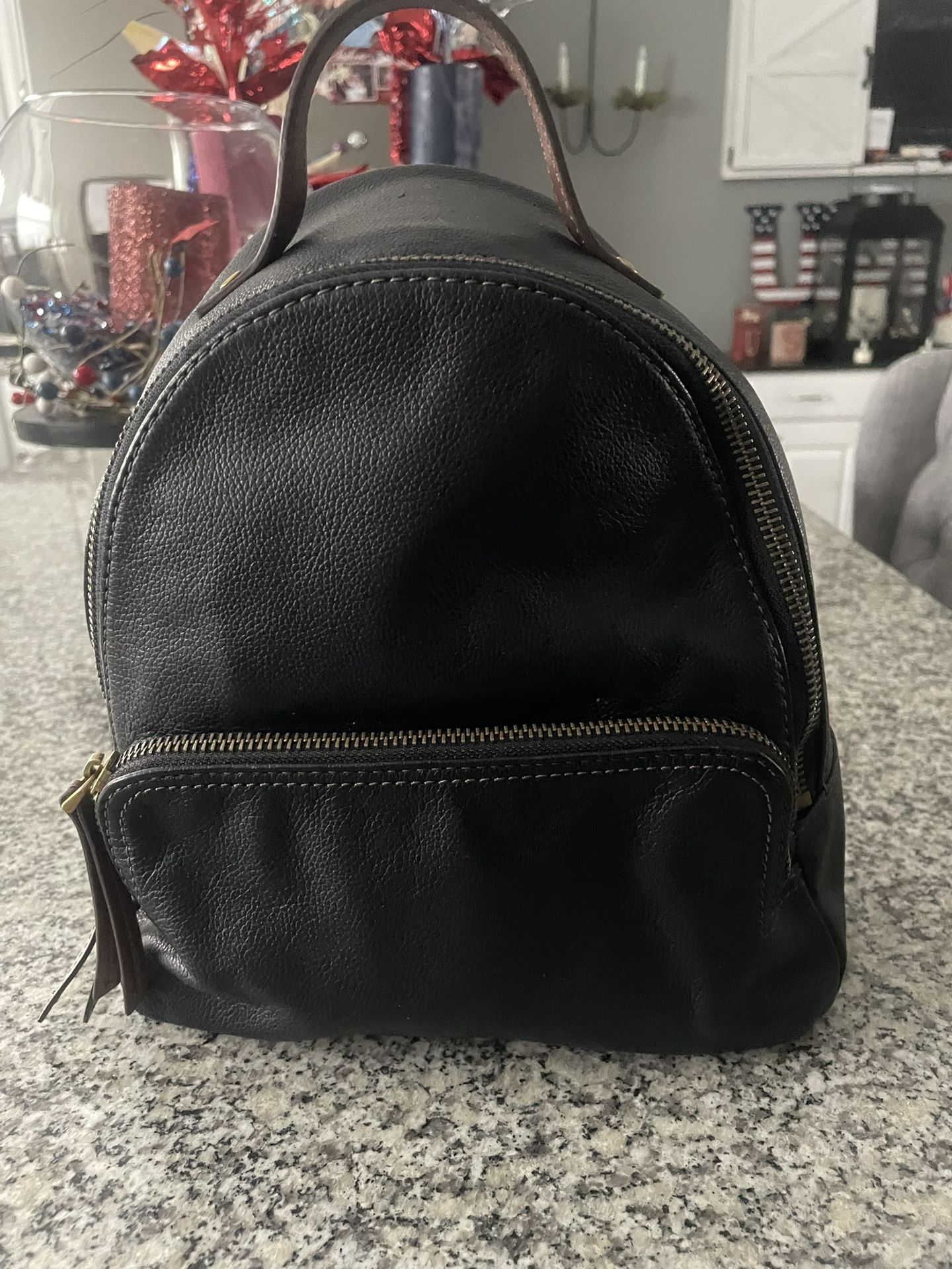 Leather Fossil Backpack