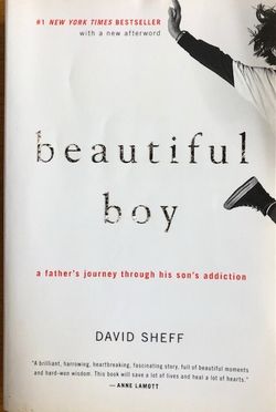 Beautiful Boy Book