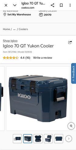 Igloo 70 qt yukon cooler new