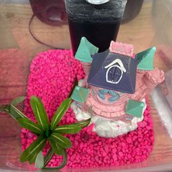 Aquarium 