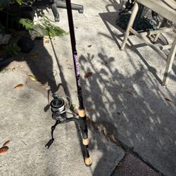 Fishing Rod And Reel 