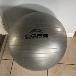 Core Exercise Ball