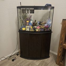 Aquarium Full Setup