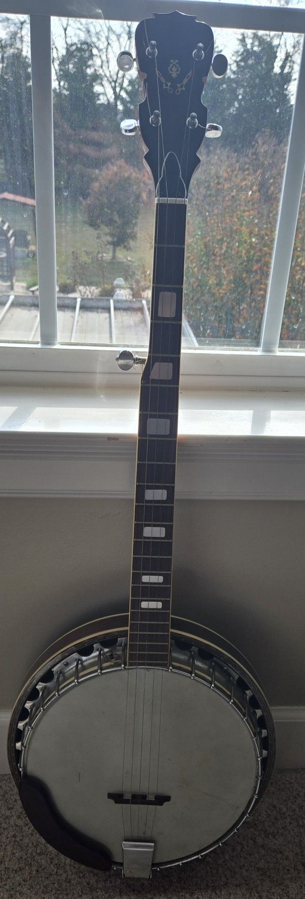 Antique Banjo