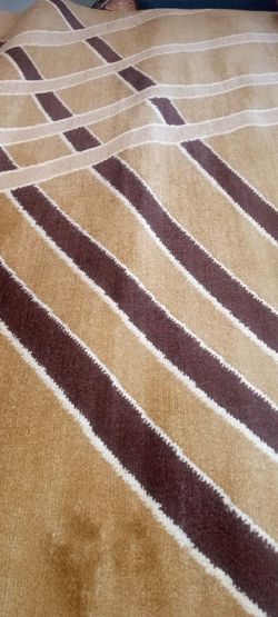 New 5/7 area rug thick and soft to the feet high quality masterpiece