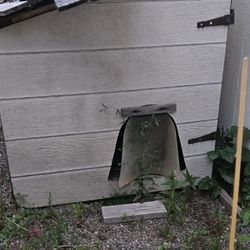 Free Free Free Dog House