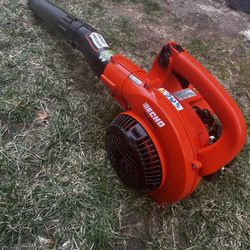 Echo Leaf Blower