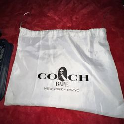 Coach Bape Collab Bag 
