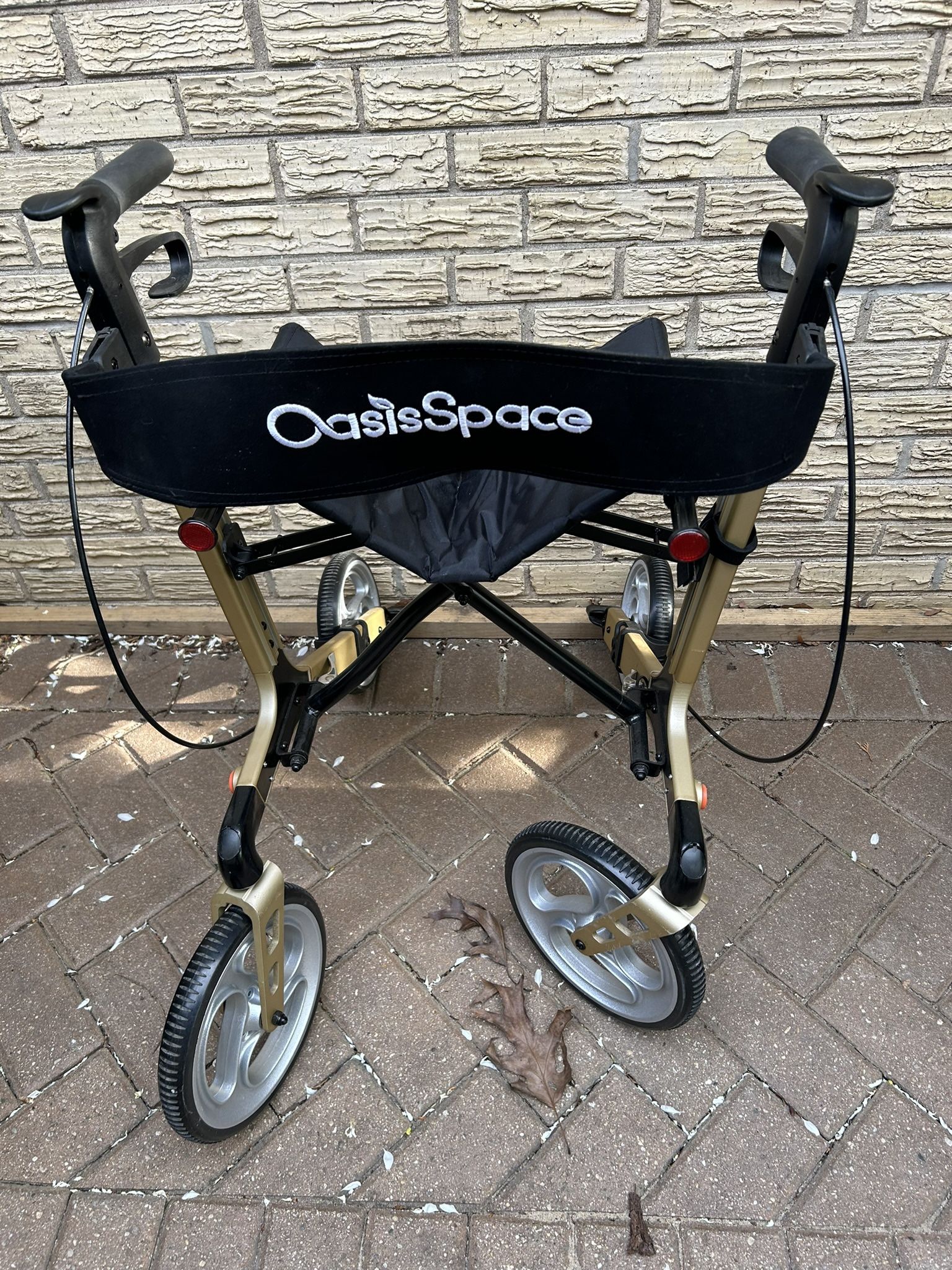  OasisSpace Aluminum Rollator Walker, with 10'' Wheels and Seat Compact Folding Design Lightweight  (Champagne)