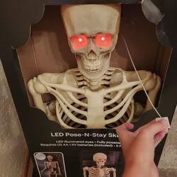 Halloween Posable skeleton Decoration 