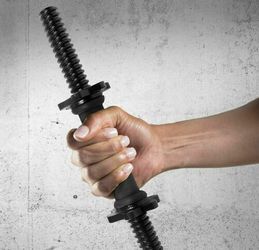 Dumbbell handles with spinlock collars..