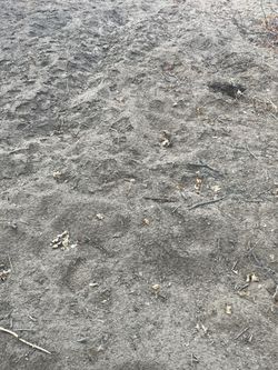 Free Sand / Play Sand 