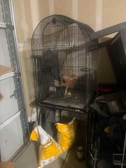 Bird cage