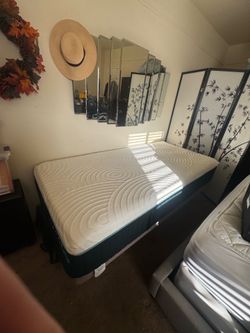 Orthopedic Long Twin size bed + mattress