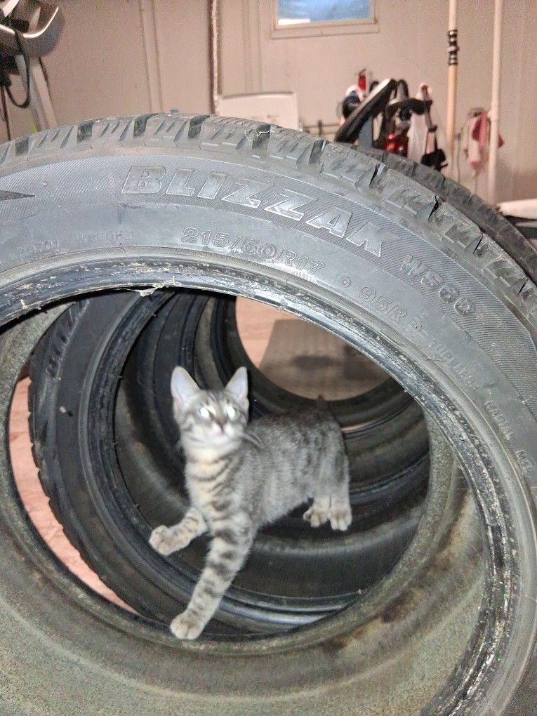 215/50R17 -4 TIRES-BLIZZAKWS60