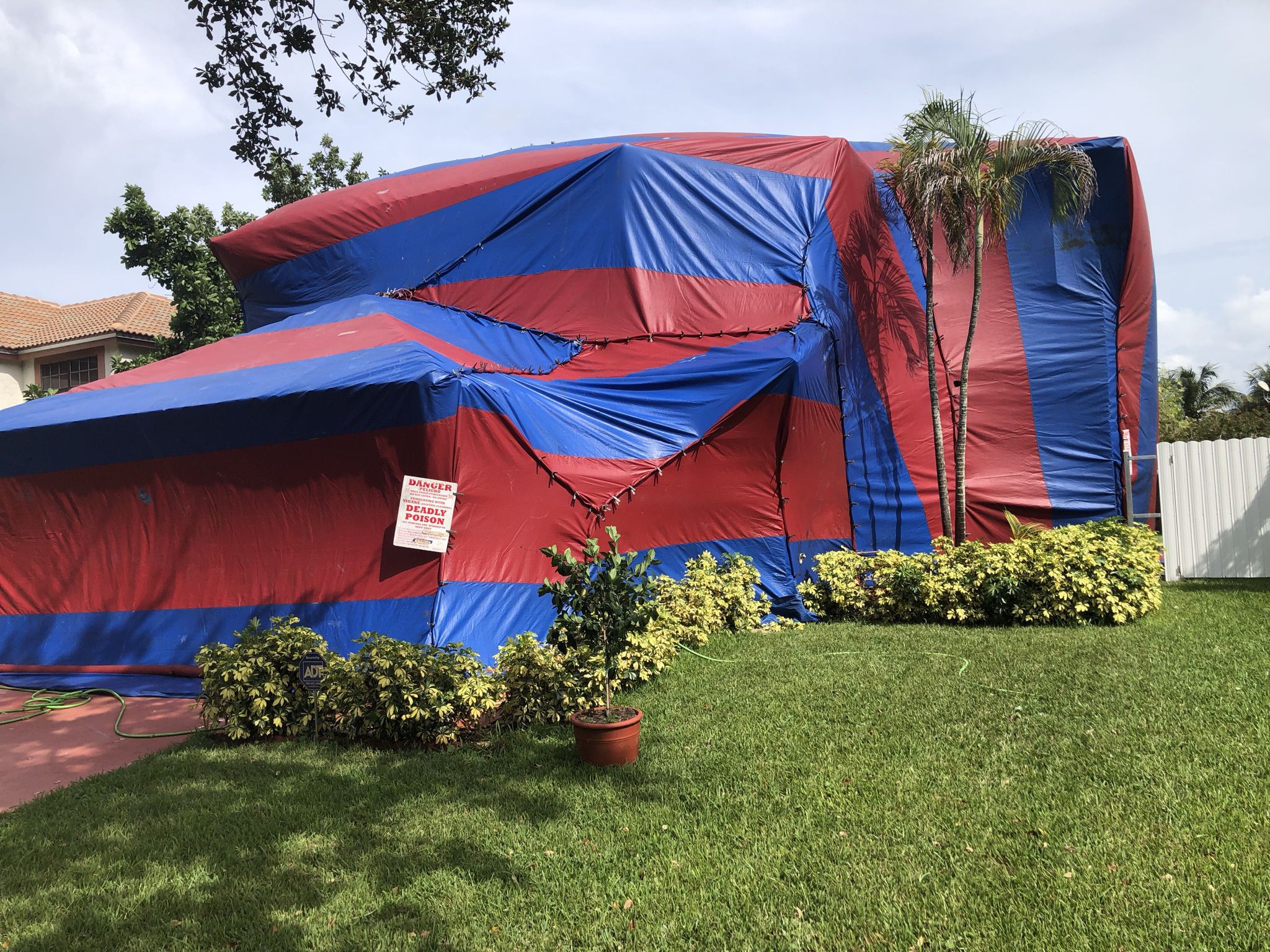 TENT FUMIGATION - FREE QUOTE 