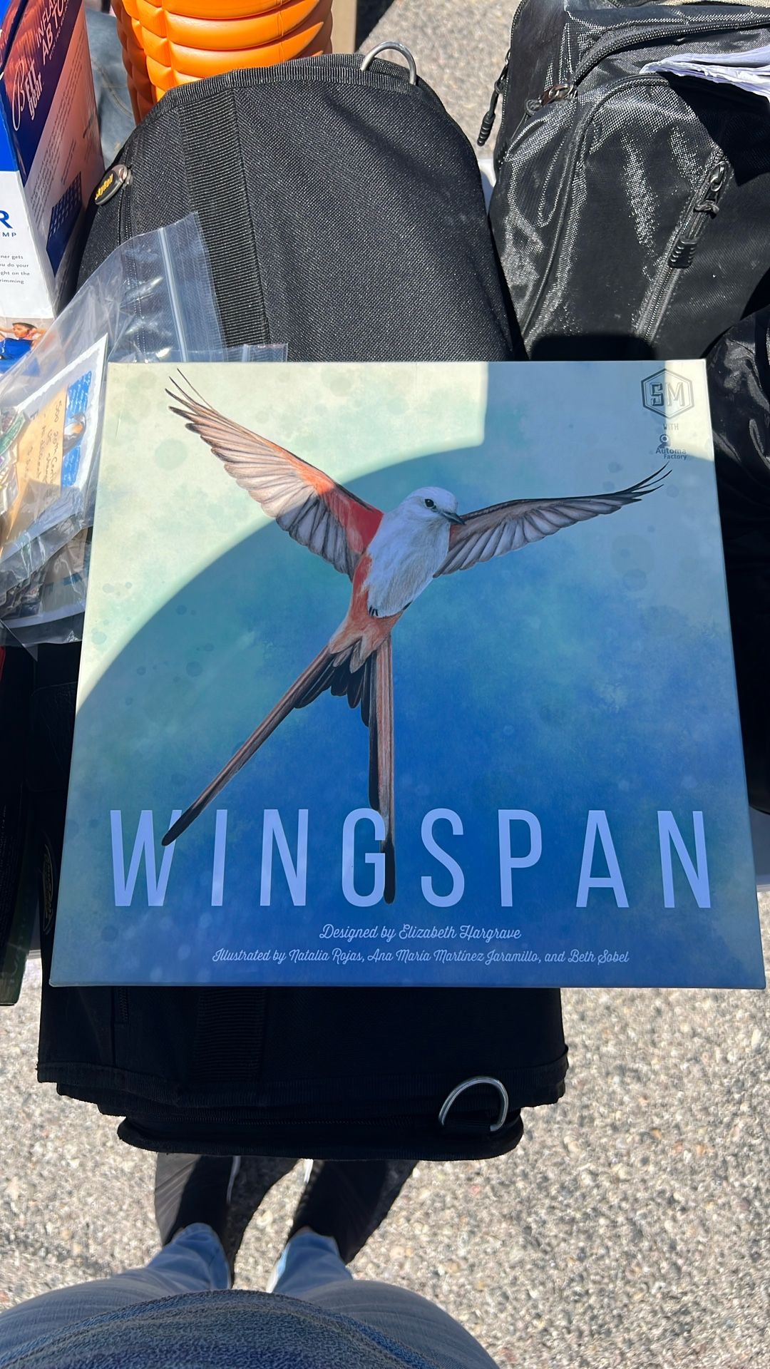 Board Game Wingspan
