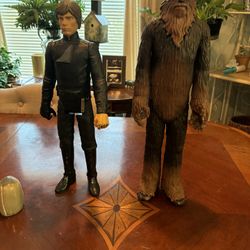 Luke Skywalker and Chewbacca