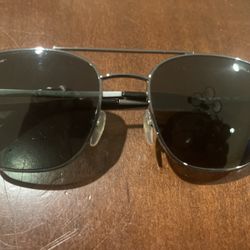 Ferragamo Sunglasses