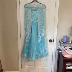 Frozen Disney Costume Size Large For Teen