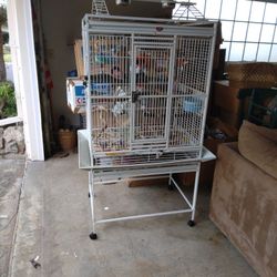 Bird Cage