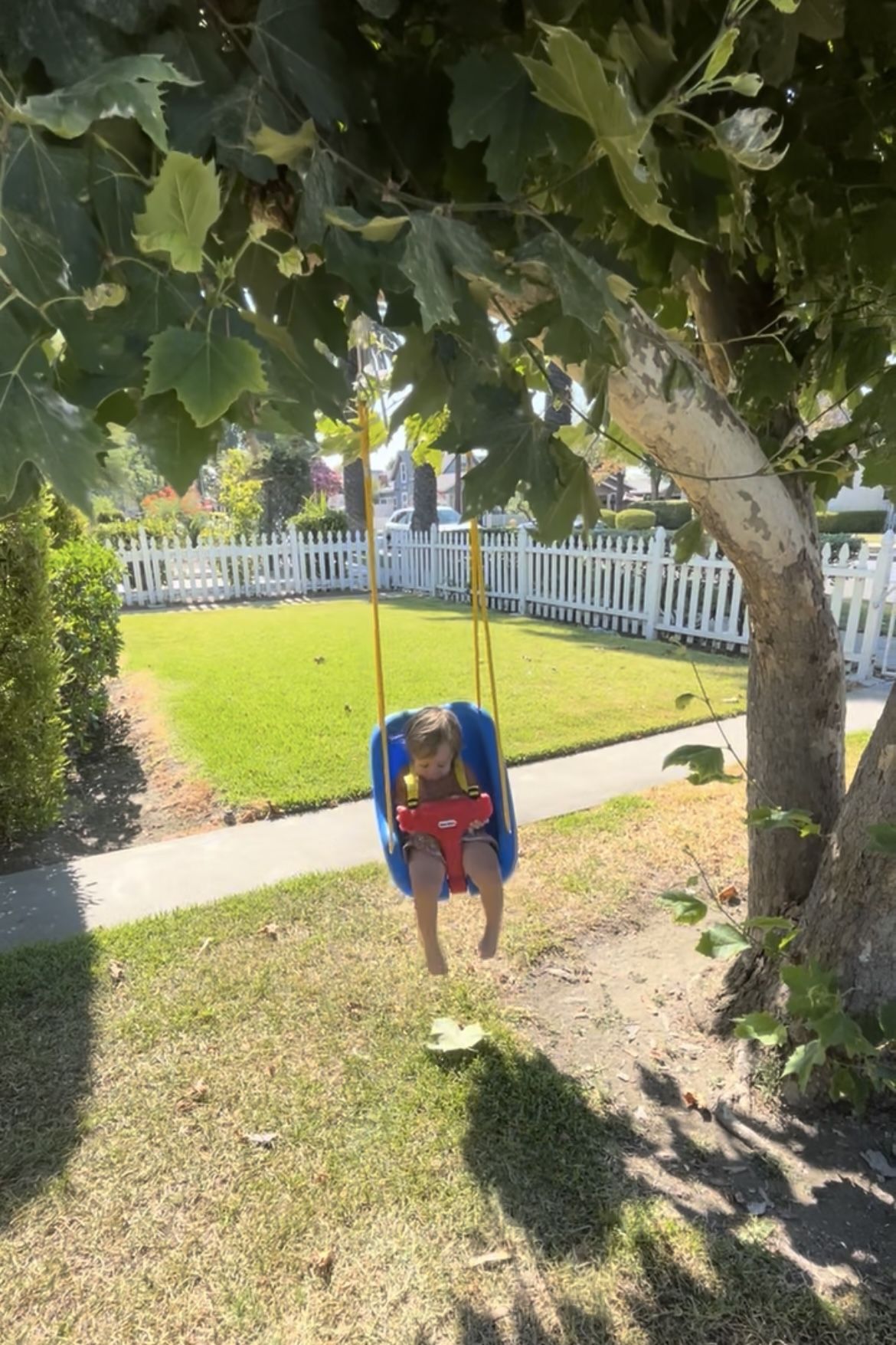 Little Tikes Baby Swing 