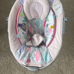 Baby Bouncer 