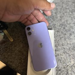 iPhone Mini 12